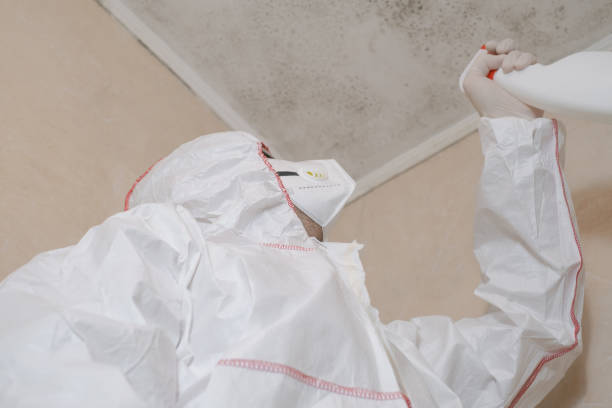 Best Industrial Mold Remediation in Grundy, VA