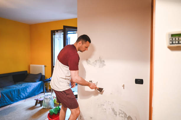 Grundy, VA Mold Remediation Company