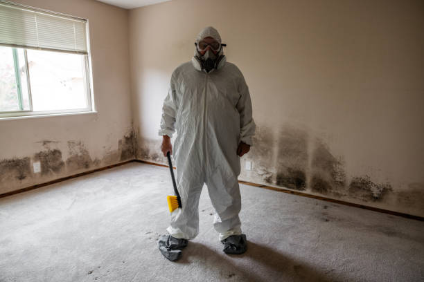 Best Mold Remediation for Specific Building Types in Grundy, VA
